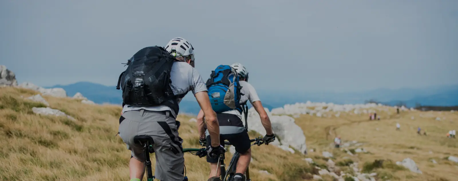 Bike Hotel vicino Siena |Deposito, Noleggio e Officina Bici