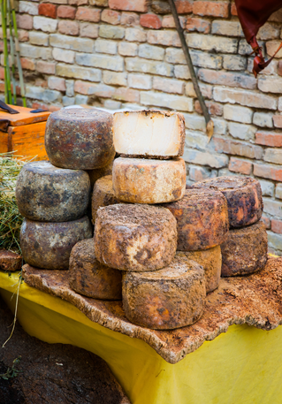 Cheese tasting