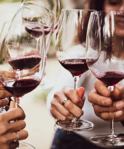 Degustazioni in struttura o in cantina