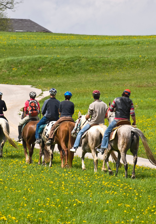 Escursioni a cavallo