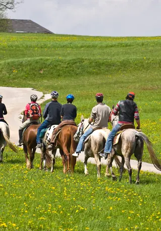 Horseback riding