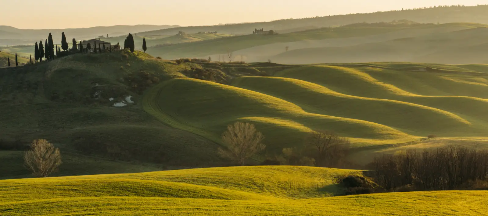 immagine di banner cta Tuscasi